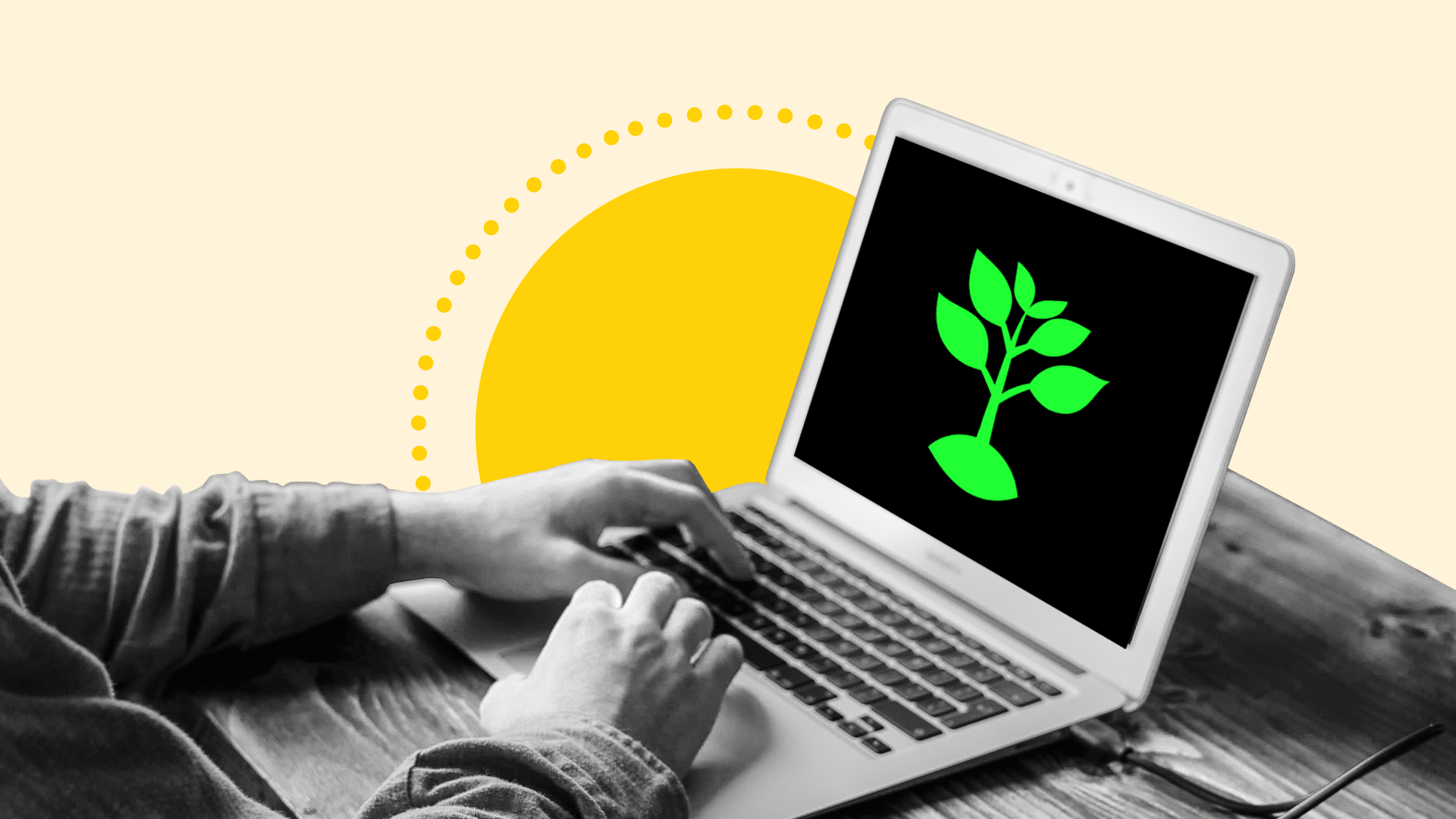 sustainable IT practices
