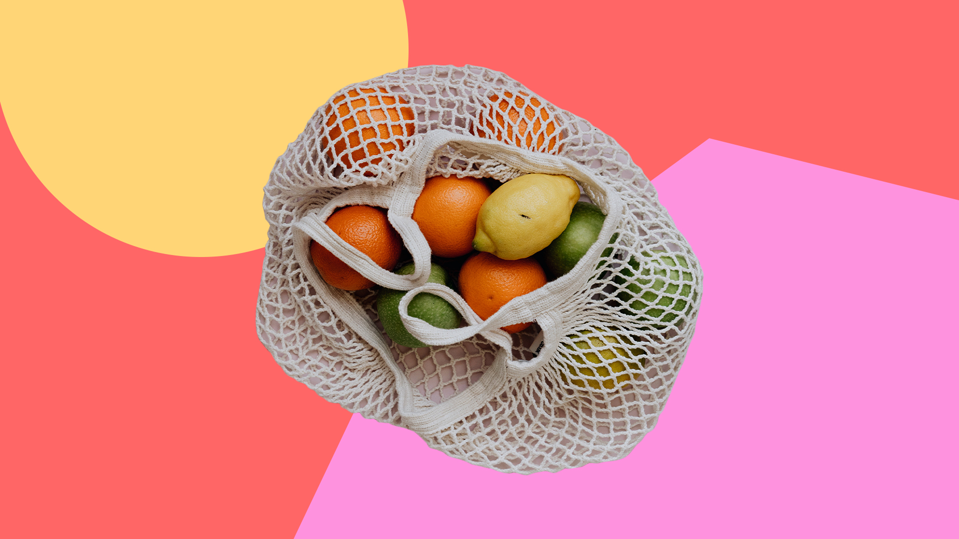Zero Waste Movement understand the fundamentals of sustainability