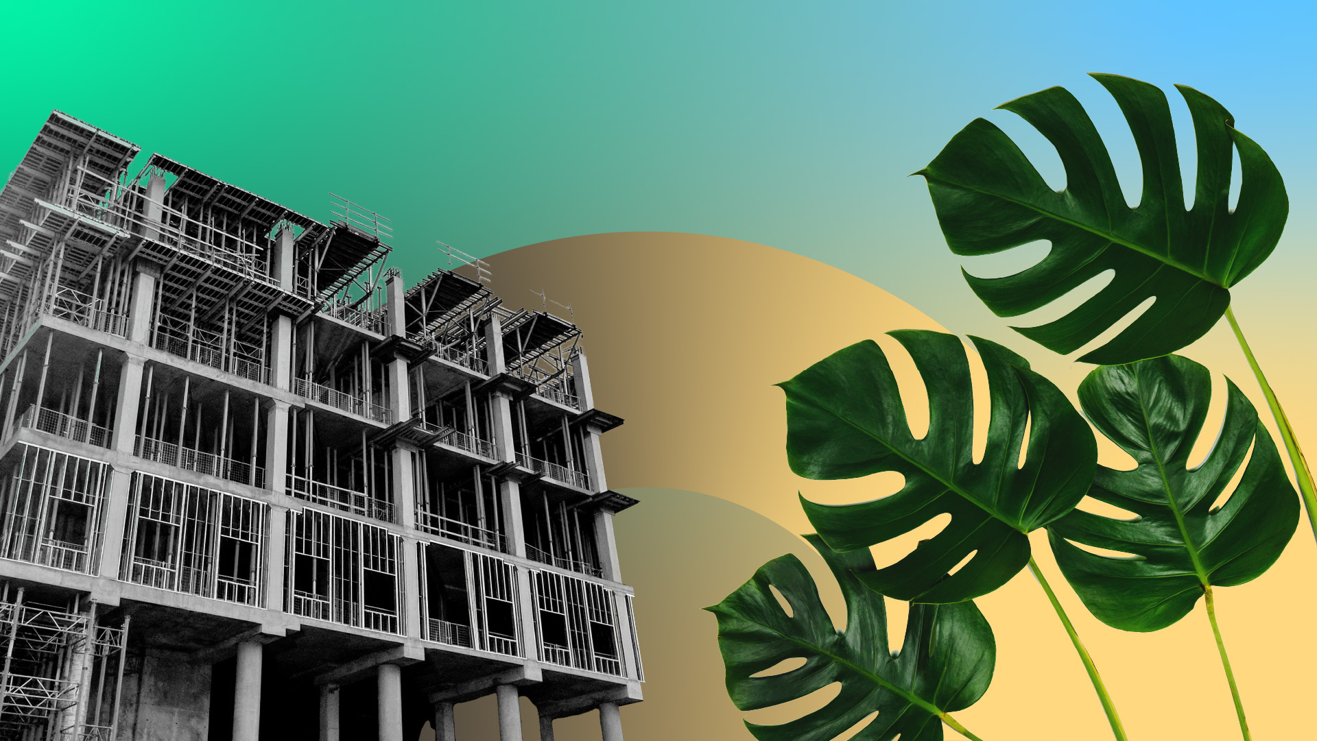 Ilustração de um prédio em construção e ao lado dele plantas. Imagem de capa do artigo sobre sustentabilidade na construção civil